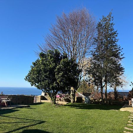 Golindo Goikoa Apartamento Getaria Exterior foto